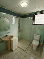 Central Green Condominium (D3), Condominium #499983991